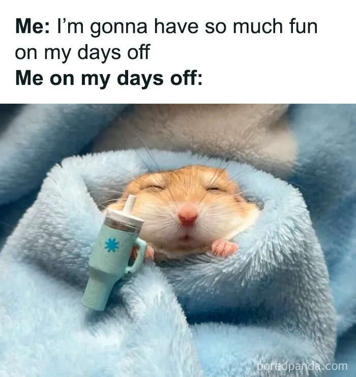 Funny-Relatable-Girl-Memes