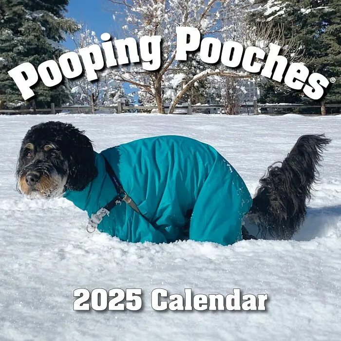 For The Potty Humor Enthusiast In Your Life, The <a Style="Display:inline;" Href="Https://Www.amazon.com/Pooping-Pooches-White-Elephant-Calendar/Dp/B0754y9gnh?dib=eyj2ijoimsj9.3iux40remiway6j2gtgs3n8ps27rnf-Qheuwbenfgsmsg_c_kqw7rmeyuvw8z9vskq22o2kix8sgph4e0xqv5guhjvdoqpk6dlpw8frjcwqw_lblwrvgm1l7xpftk_trhzfk7ogn-_6sliq1bxmm30cehqdot1hs1yfaxsvj7meayqay4d_kv03sych1wurxmtus5sm8hjyhiplf1eqyuqkx4ynzsqyp2my5htkoujbaln51zdclbf9oczp-Vip6ccd2ipmuqkbpzrmpr9lujcud-Dcakbdygbvfhbtaebw.z5xk0rmosulpewv5lxa5npbfxpuwv0znmg40ter3vsc&dib_tag=se&keywords=funny%2bproducts&qid=1744273182&sr=8-110&xpid=vx5_69vloq9a5&th=1&linkcode=ll1&tag=bppeacock-20&linkid=44dd6dc2e9e6c3e270b88c64c54f210f&language=en_us&ref_=as_li_ss_tl" Target="_blank"><span Style="Font: Inherit; Color: #d74b1f;"> Pooping Pooches Calendar</Span> Is A Crappy (In The Best Way Possible) Way To Keep Track Of Time, Featuring Adorable Dogs Doing Their Business In All Their Hilarious And Irreverent Glory