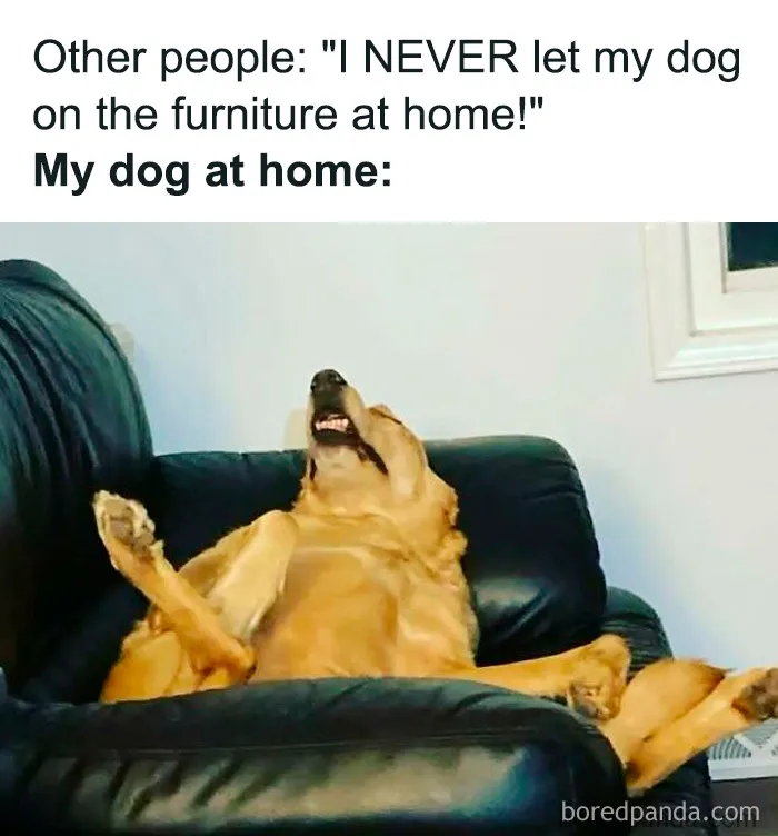 50 Hilarious Memes From ‘Sarcasm Daily’ To Help You Forget Your Problems For A Bit (New Pics)