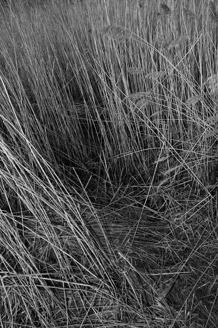 Gradient Loss - 09 March 2025 (16:08)