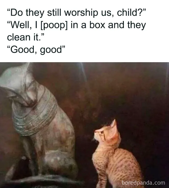These 40 Memes Are So Random They Might Be Legally Brilliant