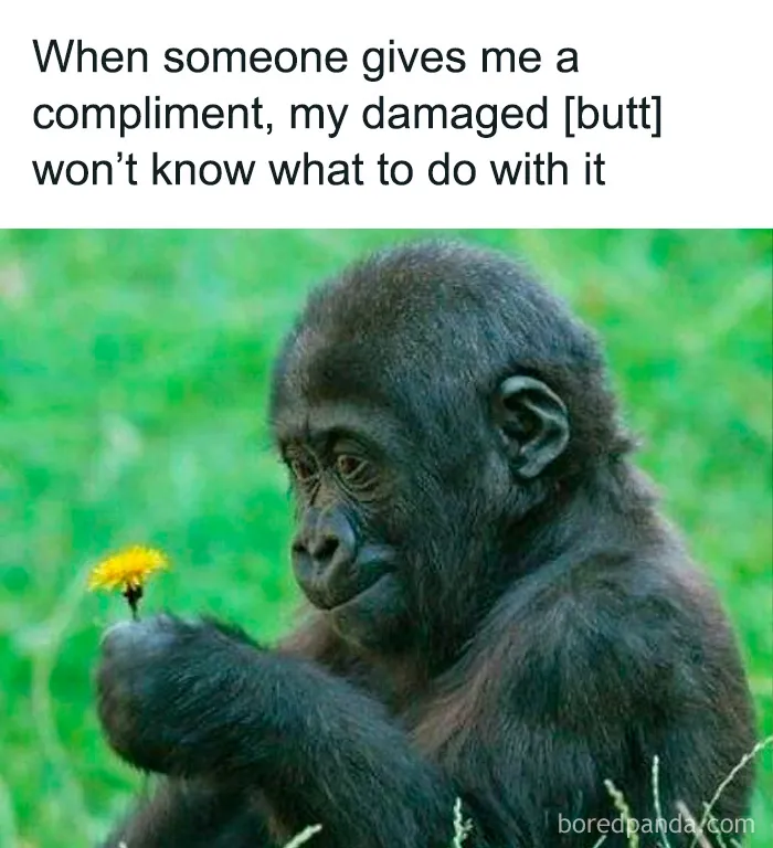 These 40 Memes Are So Random They Might Be Legally Brilliant