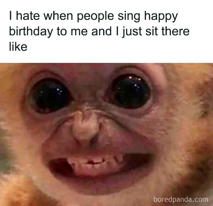 These 40 Memes Are So Random They Might Be Legally Brilliant