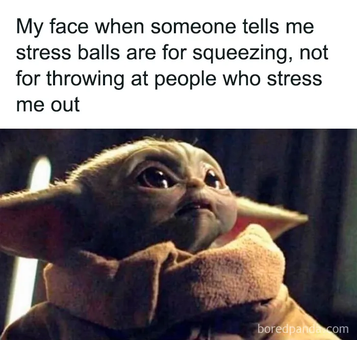 These 40 Memes Are So Random They Might Be Legally Brilliant