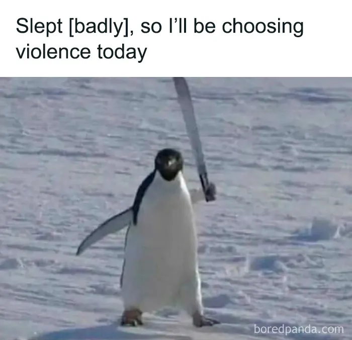 These 40 Memes Are So Random They Might Be Legally Brilliant