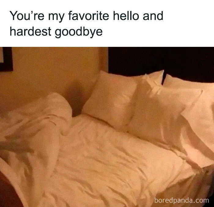 These 40 Memes Are So Random They Might Be Legally Brilliant