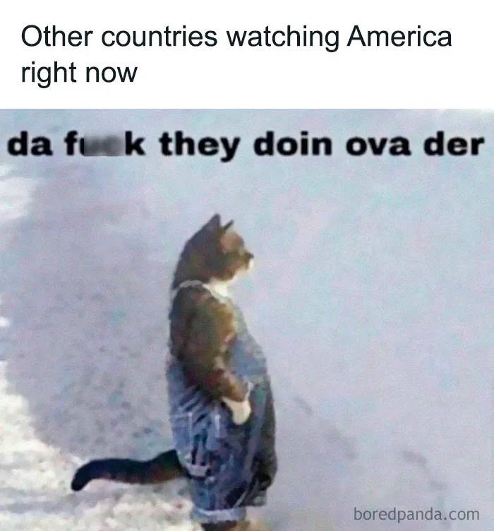 These 40 Memes Are So Random They Might Be Legally Brilliant