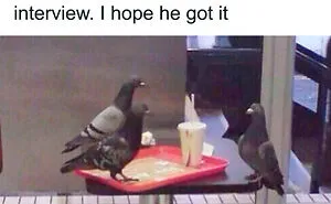 These 40 Memes Are So Random They Might Be Legally Brilliant