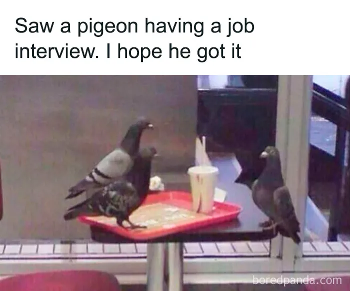 These 40 Memes Are So Random They Might Be Legally Brilliant