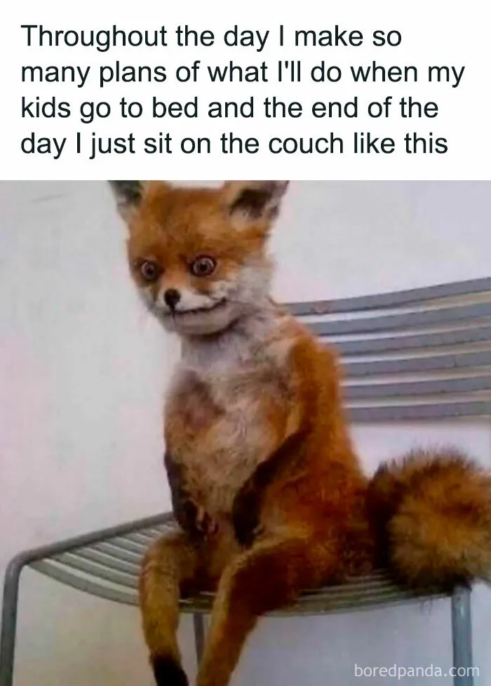 48 Funny Memes That Perfectly Capture What Being A Parent Is Like (New Pics)