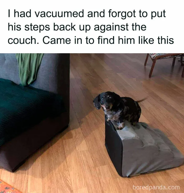 50 Funny Memes That Feel Like Putting On Lip Gloss While Plotting Revenge (New Pics)