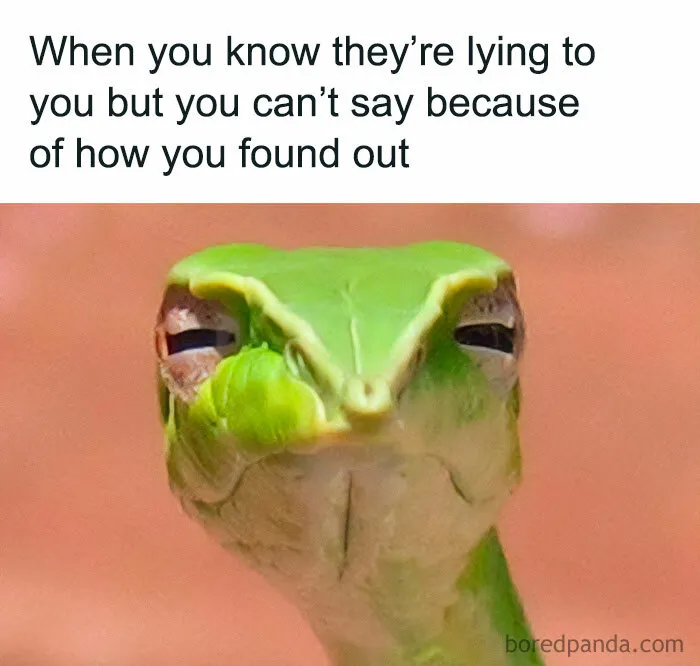 50 Funny Memes That Feel Like Putting On Lip Gloss While Plotting Revenge (New Pics)