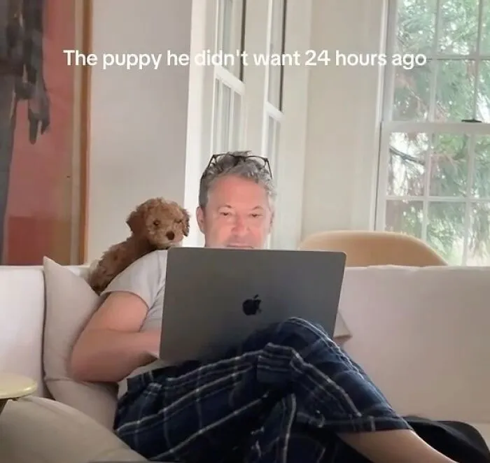 50 Hilarious Memes For You To Scroll Through When You Need To Look Busy (New Pics)