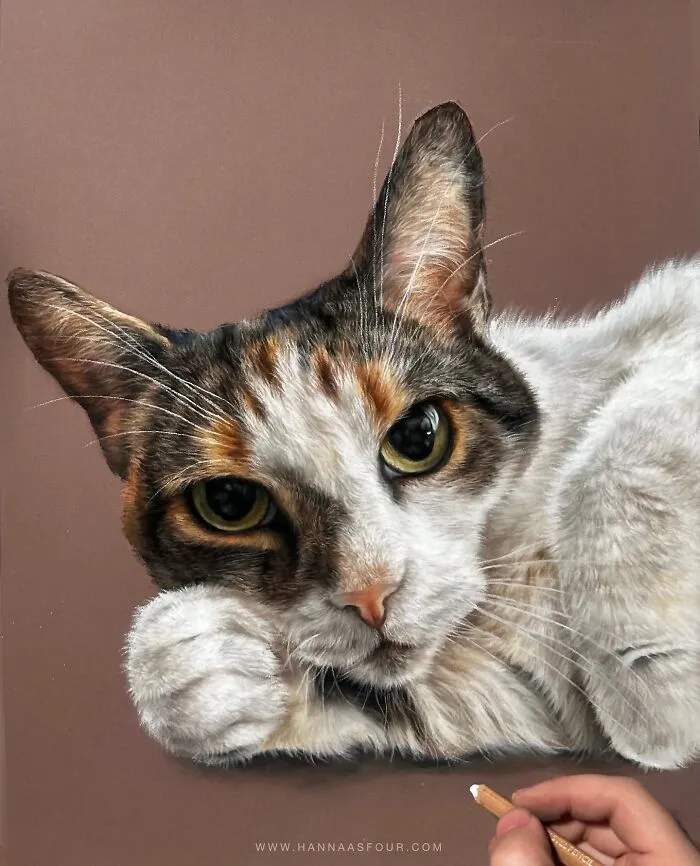Realistic cat portrait drawn by Hanna Asfour using pencils, showing a detailed close-up with a hand holding a pencil.