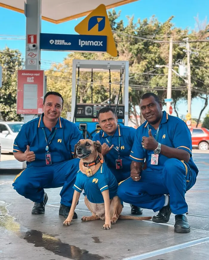 From Street Dog To Gas Station Star: The True Story Of Matuê, The Pup Who Won Over A City — And The Internet-Interview (24 Pics)
