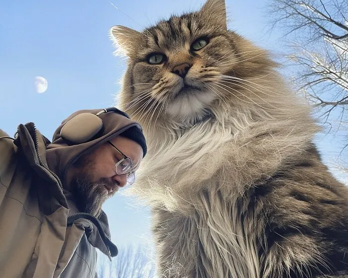 If Cats Were Giants: 24 Surreal Images Created By This Artist (New Pics)
