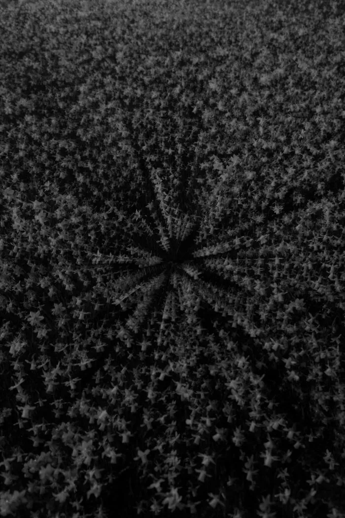 Gradient Loss - 13 March 2025 (23:45)