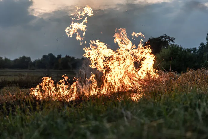 30 People Reveal The Most Terrifying Thing They Know Exists