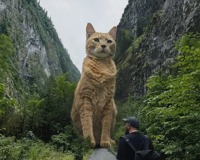 If Cats Were Giants: 24 Surreal Images Created By This Artist (New Pics)