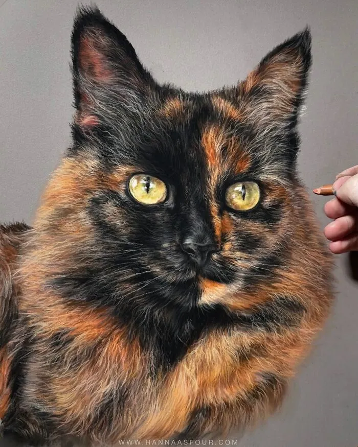 Hyperrealistic Pencil Drawings: 40 Animal Portraits Done By The Talented Hanna Asfour