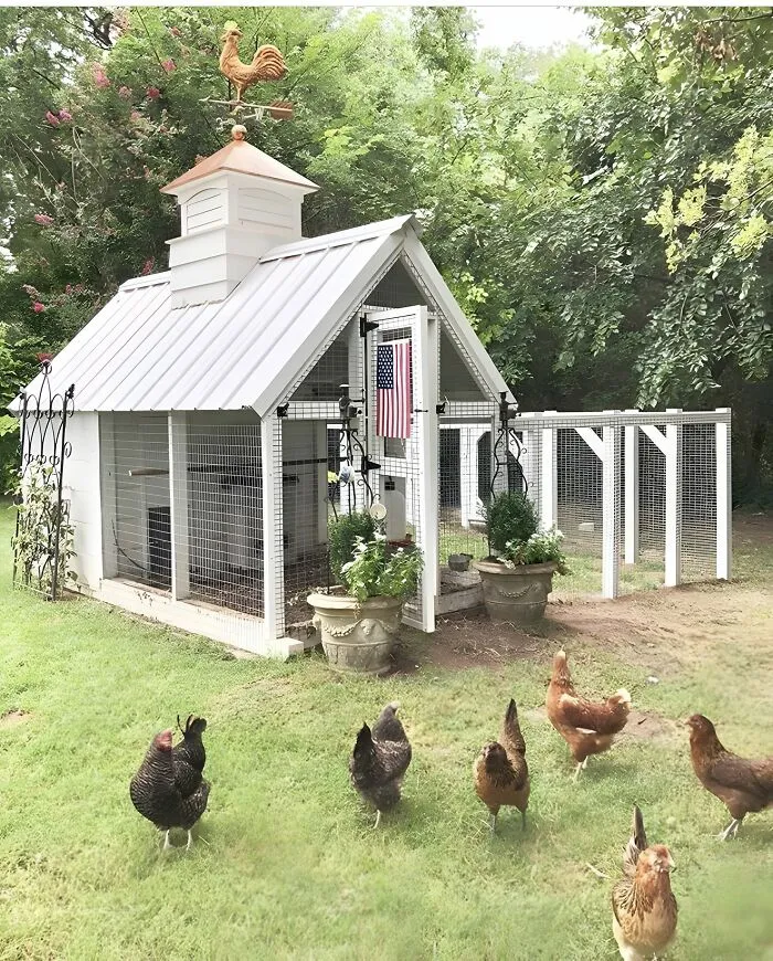 Woodworking ideas for a charming white wooden chicken coop with a metal roof and decorative weather vane outdoors.
