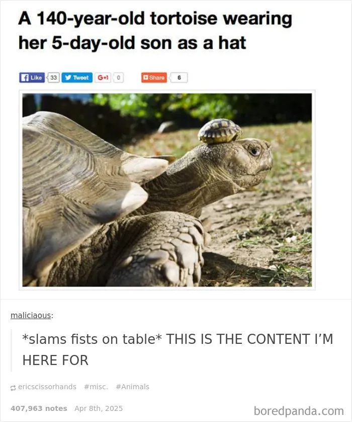 50 Memes That Prove Millennials Have The Best Sense Of Humor
