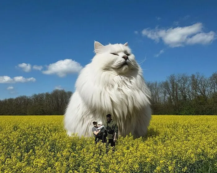 If Cats Were Giants: 24 Surreal Images Created By This Artist (New Pics)