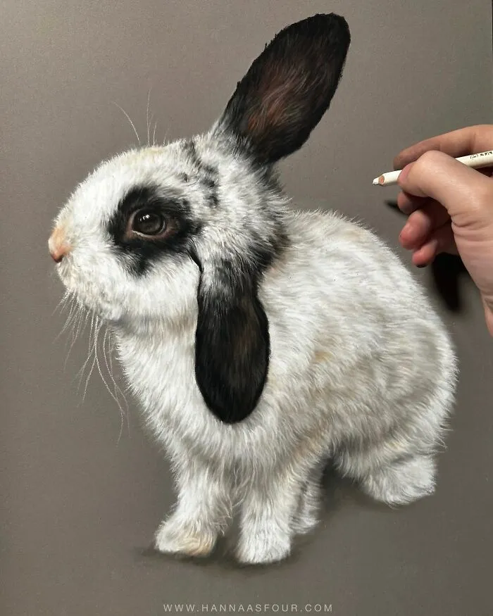 Hyperrealistic Pencil Drawings: 40 Animal Portraits Done By The Talented Hanna Asfour