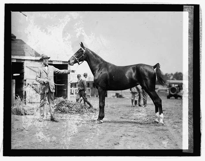 Howard Brady With "My Maryland", May 15 1926