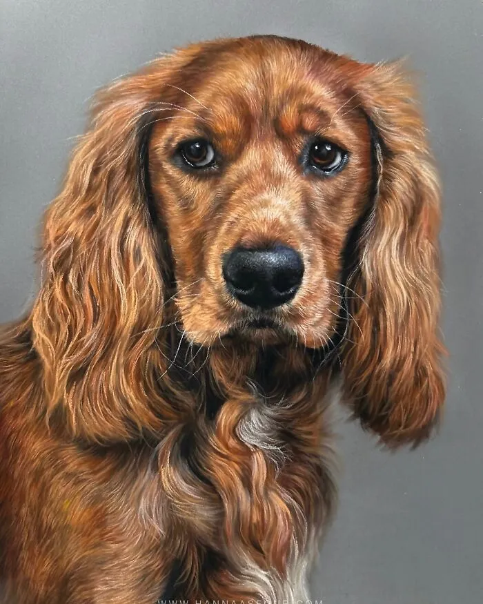 Realistic pencil portrait of a Cocker Spaniel, showcasing detailed fur and expressive eyes.