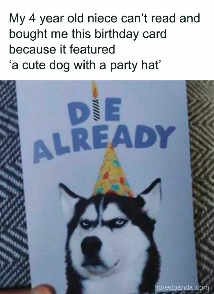 The Dog Is Cute Tho