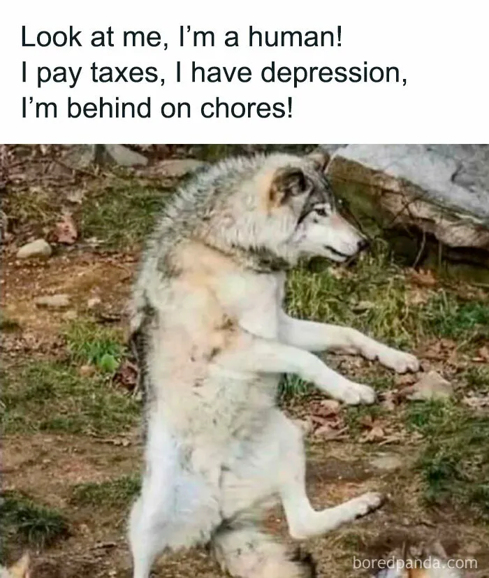 30 Hilariously Relatable Memes To Help You Understand Life Or Give Up On It