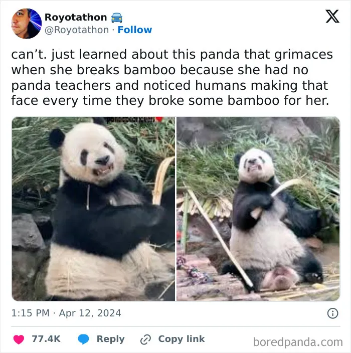 Hilarious