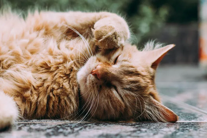 40 Relationships That Crumbled After One Eye-Opening Moment