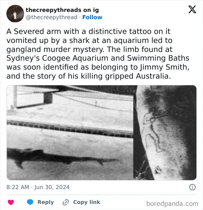 Severed arm with tattoo vomited by shark in aquarium, linked to gangland murder mystery in spooky world facts.