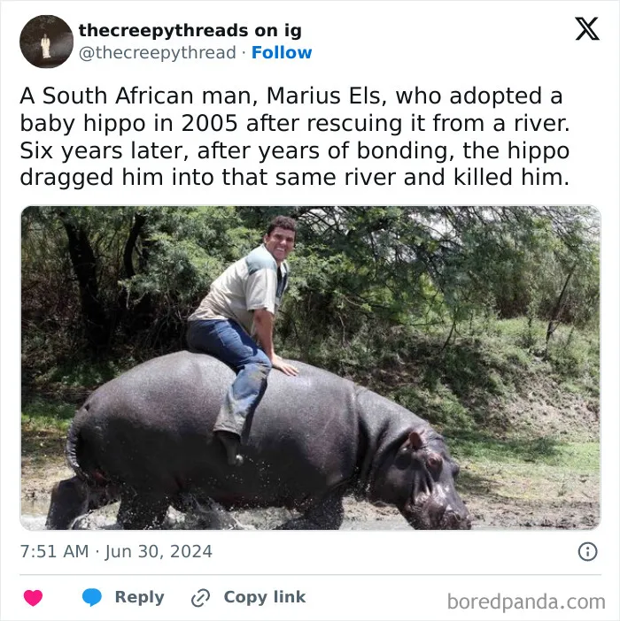 South African man riding a hippo in a natural setting illustrating spooky facts about our world that disturb and surprise.