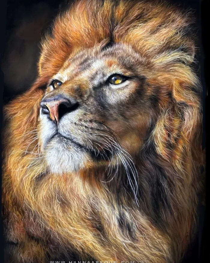 Hyperrealistic Pencil Drawings: 40 Animal Portraits Done By The Talented Hanna Asfour