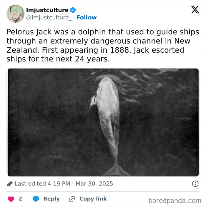 50 Fascinating Posts And Stories For The Curious Among Us