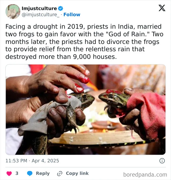 Priests in India hold two frogs in a ritual to appease the "God of Rain," highlighting interesting cultural practices.