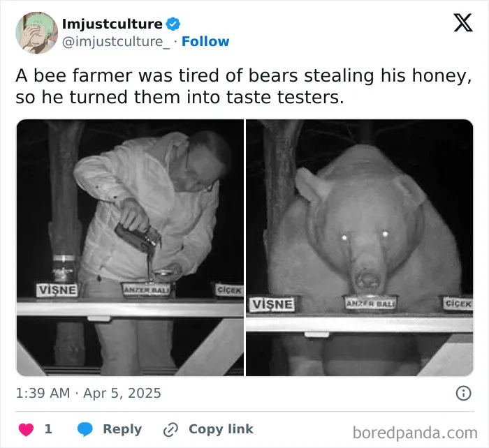 Bee farmer sets honey for testing by bears, making them taste testers for interesting facts discussion over Easter lunch.