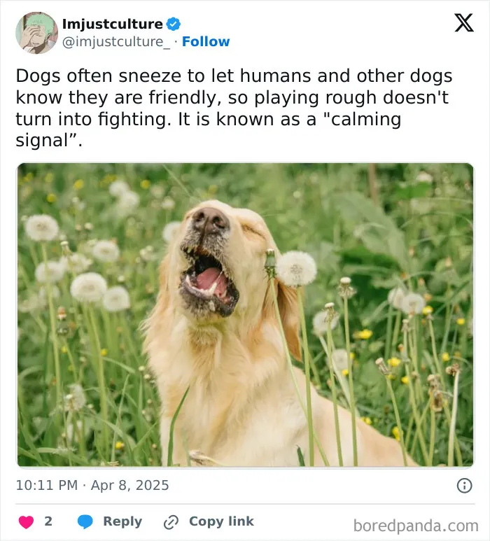 50 Fascinating Posts And Stories For The Curious Among Us
