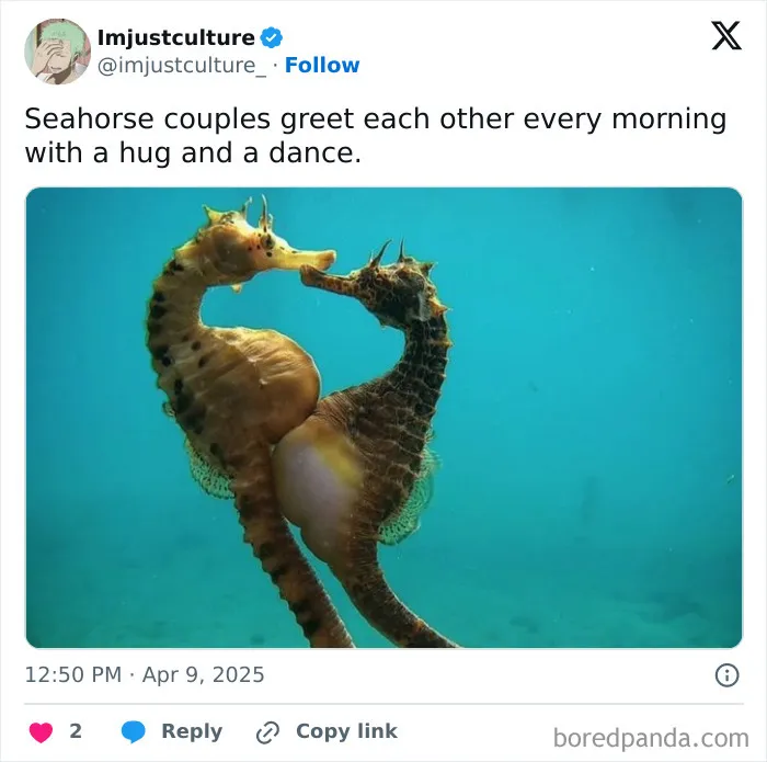 50 Fascinating Posts And Stories For The Curious Among Us