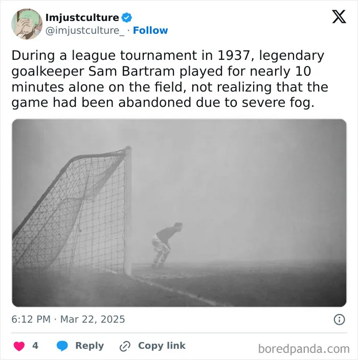 Interesting-Culture-Posts