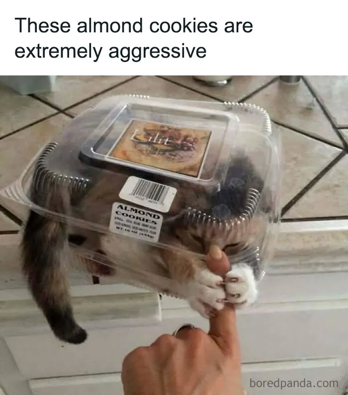 50 Funny Memes That Might Leave You Weirdly Hungry, Shared On The ‘Cursed Food’ Page