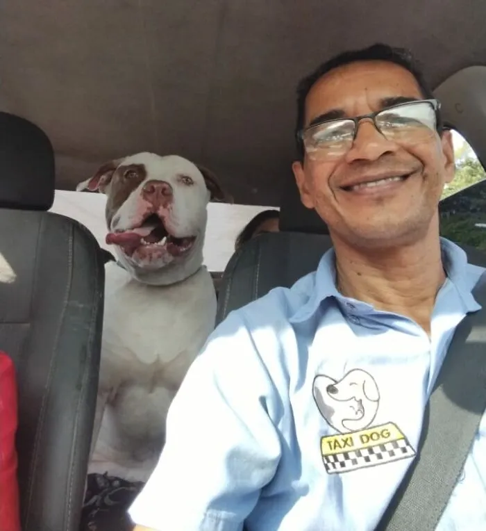 33 Times This “Pet Taxi” Driver Has Taken Cute Selfies With His Furry Customers (New Pics)
