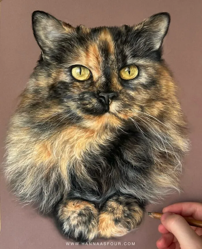 Hyperrealistic Pencil Drawings: 40 Animal Portraits Done By The Talented Hanna Asfour
