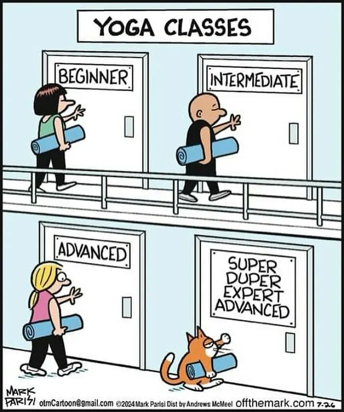 This Artist Sums Up Life With A Cat In His 23 New Funny Cartoons