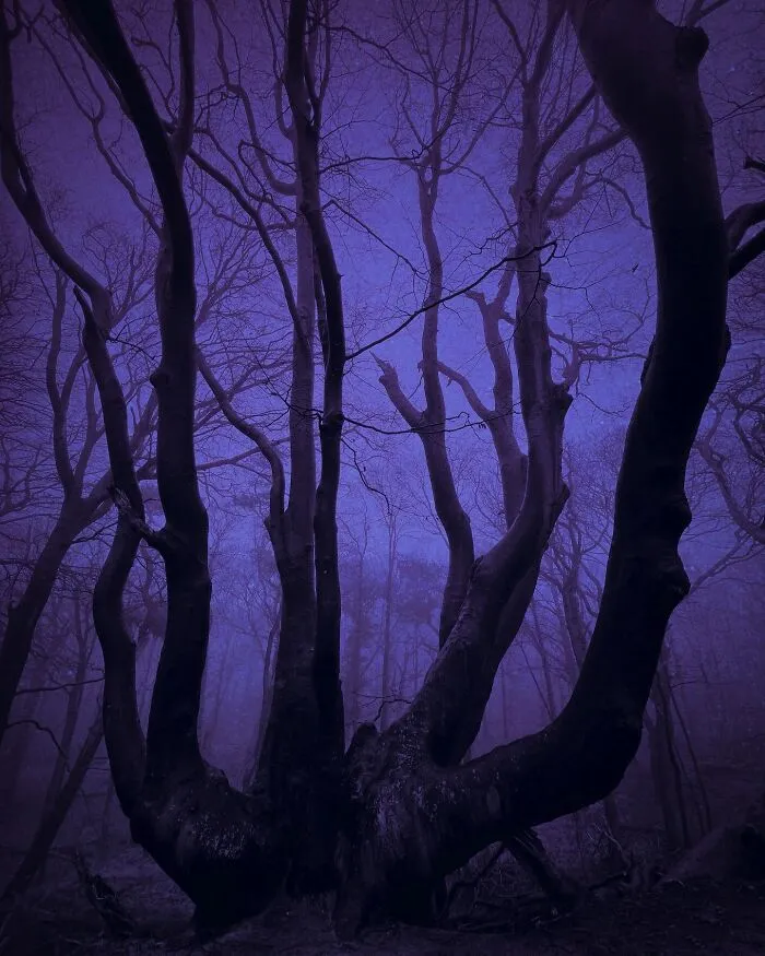 Ethereal Photography That Captures The Beauty Of Darkness And Nostalgia (49 Pics)