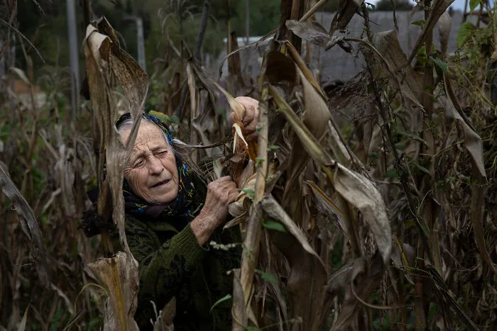 23 Powerful Images Of The World’s Invisible Women, By Michele Zousmer