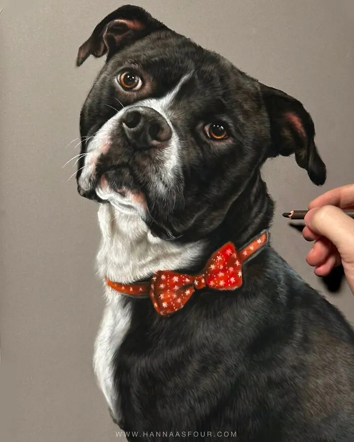 Hyperrealistic Pencil Drawings: 40 Animal Portraits Done By The Talented Hanna Asfour